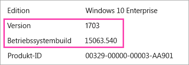 Screenshot mit Windows-Version und Buildnummern