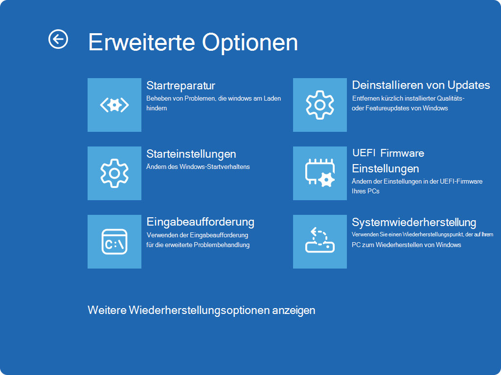 Screenshot of Windows RE - Advanced options screen.