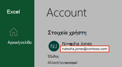Στιγμιότυπο οθόνης που εμφανίζει ένα λογαριασμό χρήστη στο Excel.