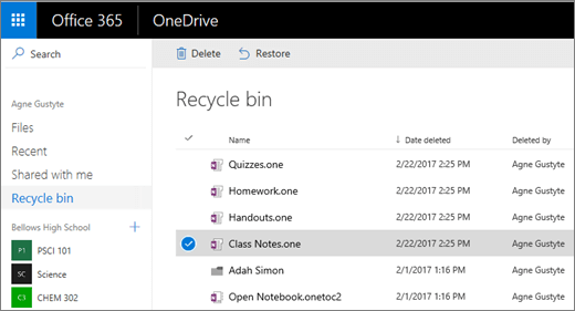 Κάδος Ανακύκλωσης του OneDrive με μια λίστα των σελίδων σημειωματαρίου. Εικονίδια για διαγραφή και επαναφορά.