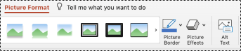 Κουμπί εναλλακτικού κειμένου στην κορδέλα για μια εικόνα στο PowerPoint για Mac.