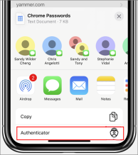 Θέση εισαγωγής κωδικών πρόσβασης του Apple Chrome