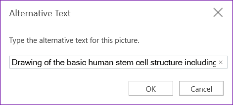 Alternative text dialog for OneNote for the web