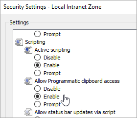 Custom level settings, showing Allow Programmatic clipboard access