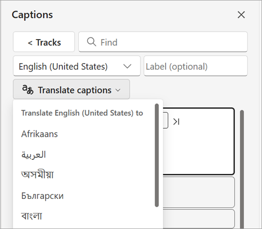 Translate captions dropdown in the Captions pane.