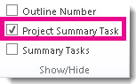 Show the project summary task