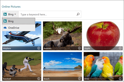 Screenshot of the Insert Pictures window for online pictures.