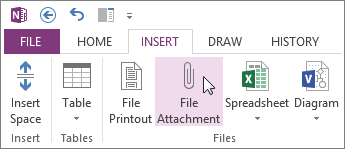 Insert a file into your notes as an attachment