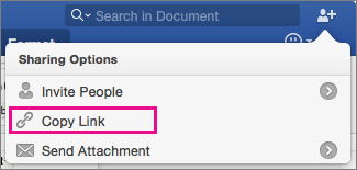 To copy a link for the document to the cilpboard, click Copy Link.