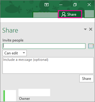 Share pane in Excel 2016 for Windows
