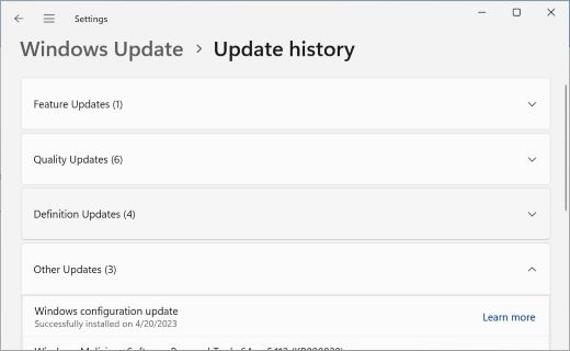 Shows the Update History page, with the Other Updates section expanded.
