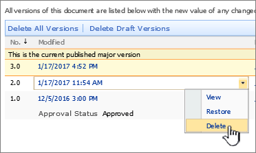 Versioning dropdown on a file with the delete option highlighted