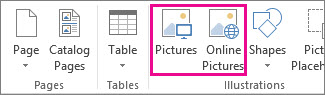 Screenshot of the Insert Pictures options on the Insert menu in Publisher.