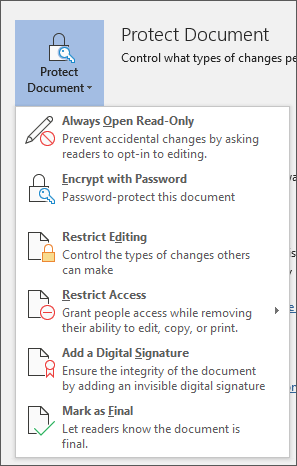 excel password protect editing