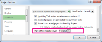 Schedule tab in the Excel Options dialog box