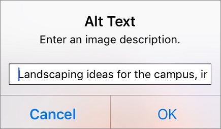 Outlook for iOS Alt Text for image menu