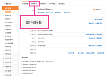 Click "域名解析"