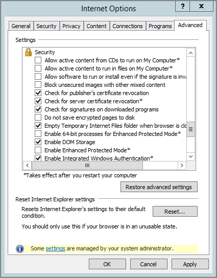 Internet Explorer security options