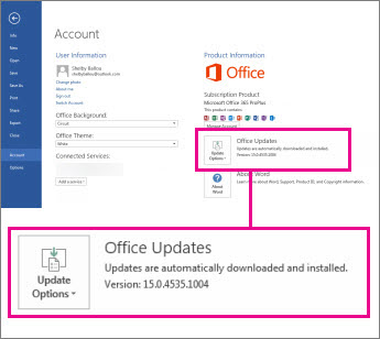 The version number is listed under Office Updates