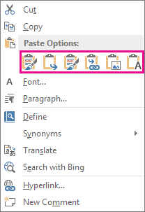 Button group of five options for pasting Excel charts into Word