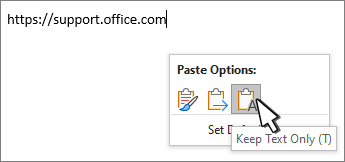 Paste drop down with cursor hovering over text