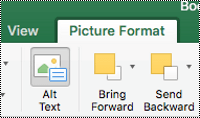 Alt Text button for images on the ribbon in Excel for Mac