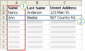 Data file with columns (categories) and rows (records)