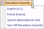 Translation Tool Tip button