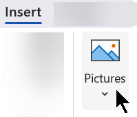 On the Insert tab of the ribbon, select Insert, then select Pictures. 