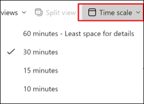 Time scale is selected in the ribbon calendar view. 