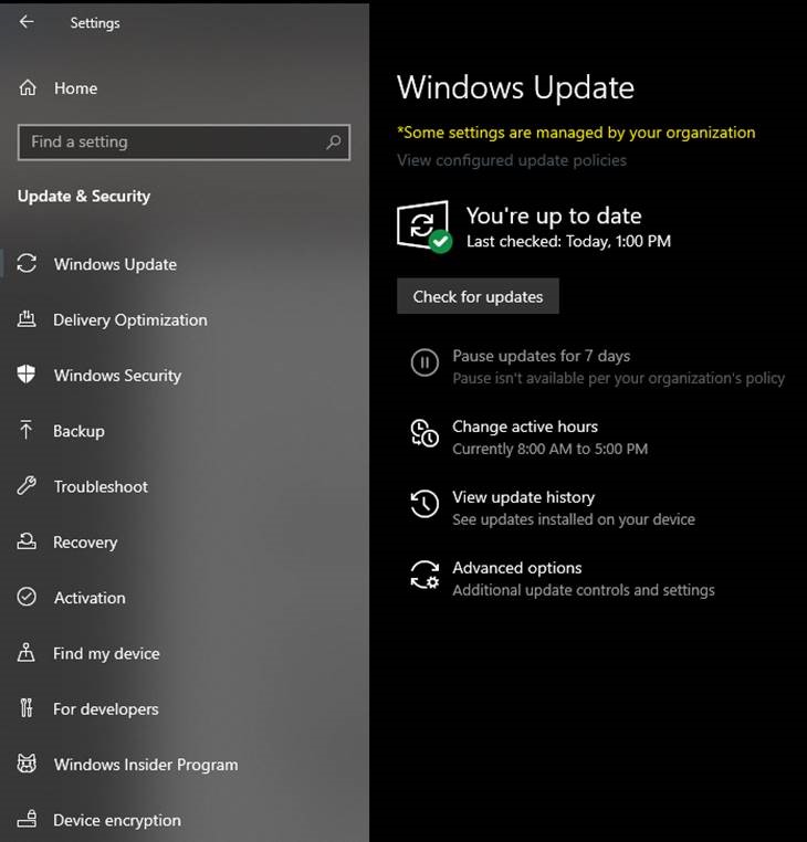 Windows Update will show if Build 18947 is pending