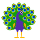 Peacock emoticon