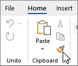 Format painter button on ribbon