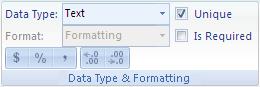 Access Ribbon Image of Data Type and Formatting group