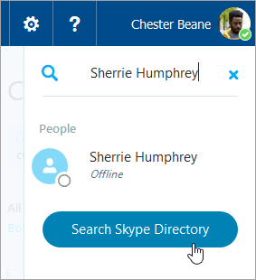 A screenshot of the search box in the Skype pane