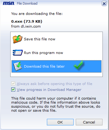MSN File download dialog box