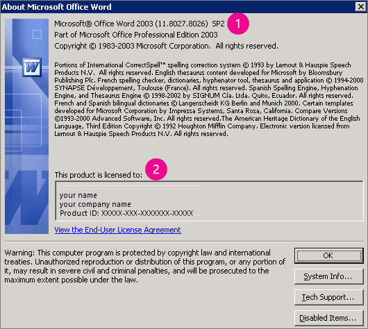 About Microsoft Office Word 2003 window