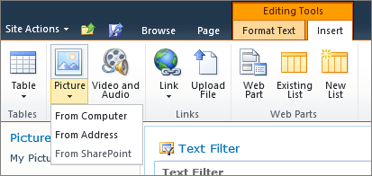 Click the picture button on the ribbon, and select from computer, address, or SharePoint.