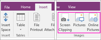 Screenshot of the Insert Pictures options in OneNote 2016.