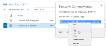 A SharePoint document URL in the document callout