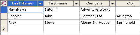 Example of the datasheet view