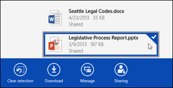 A file selected in OneDrive for Business