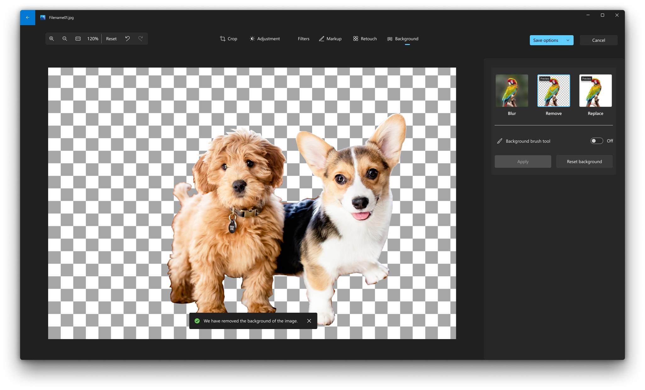 Two standing dogs with transparent background