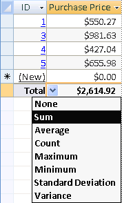The Total row in a datasheet