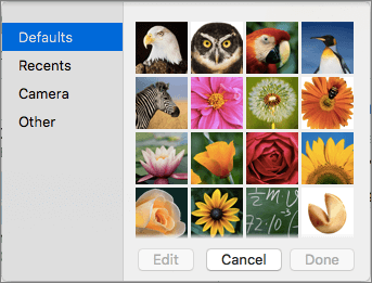 Outlook contact picture options