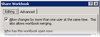 Portion of the Share Workbook dialog box