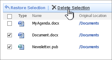 SharePoint 2007 Recycle dialog with Delete Selection highlighted