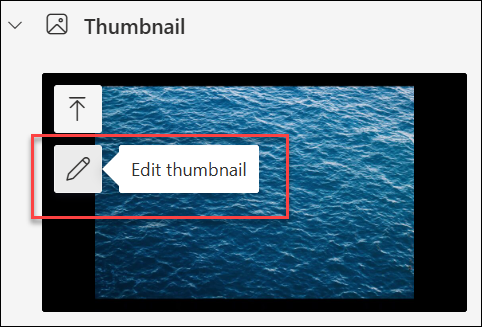 screenshot of Edit thumbnail option