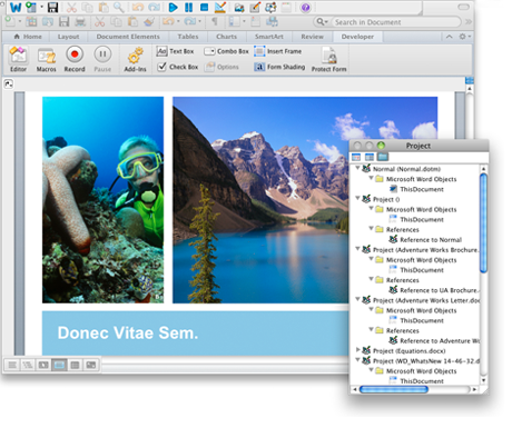 Screenshot showing Developer tab and VB project window