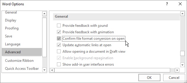 Confirm file format conversion on open option